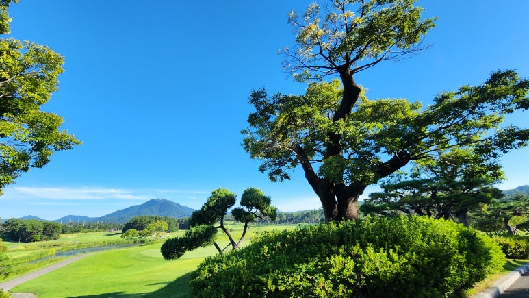 Bayside Golf Club