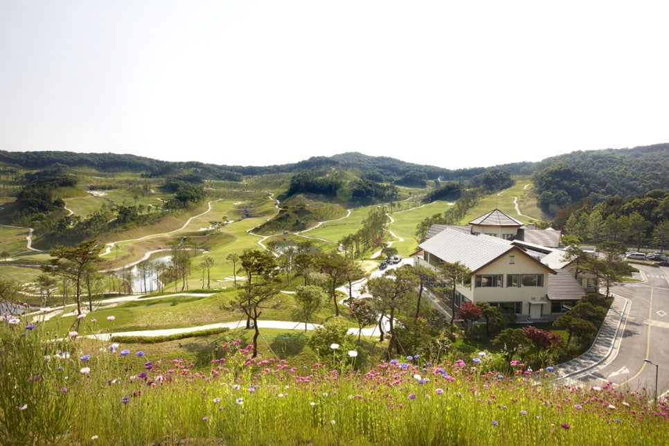 진양밸리cc