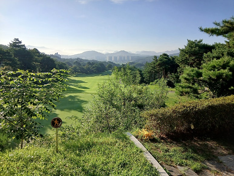Kings Rock CC