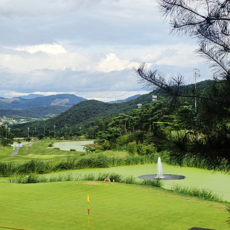 All Day Golf & Resort