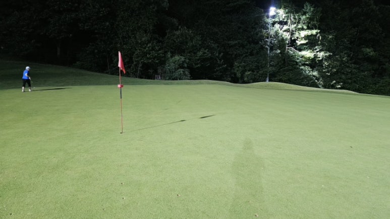 Royal Forest CC