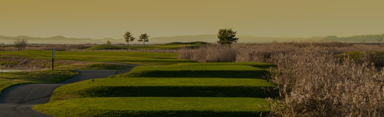 Royallinks CC