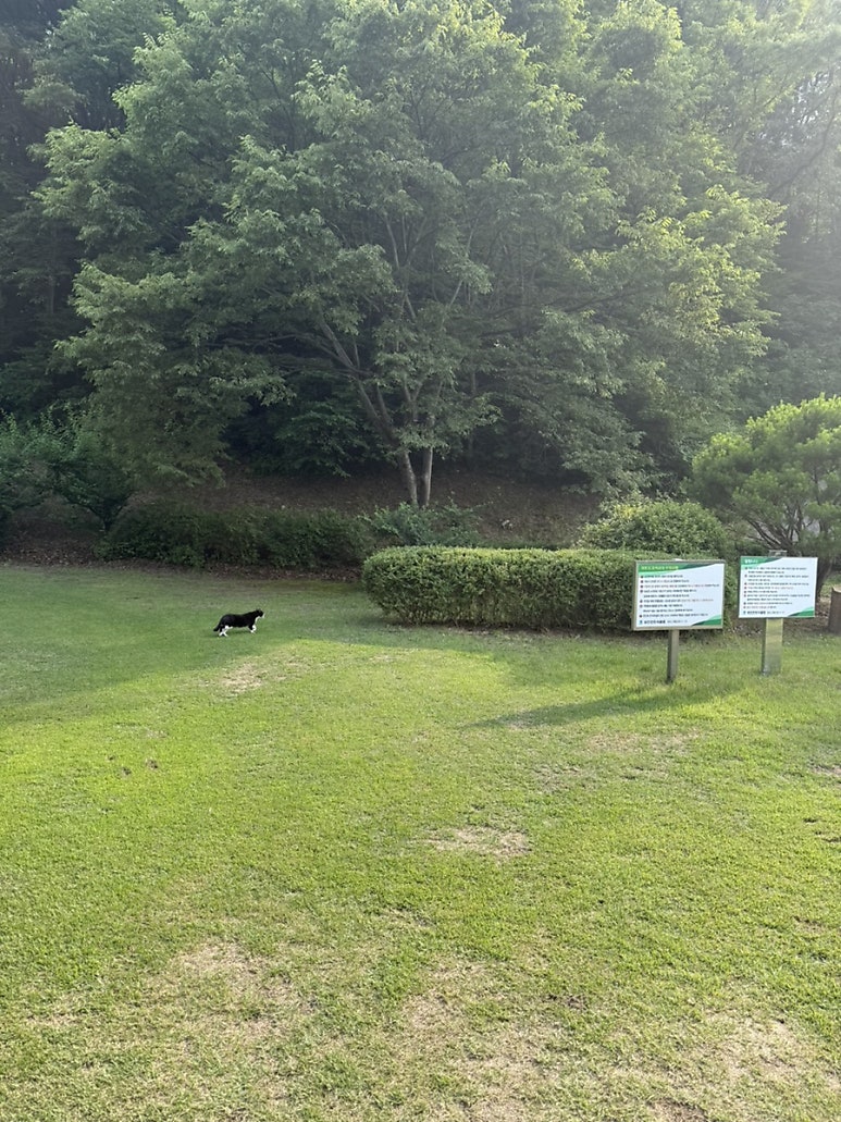 Naengcheon Country Club