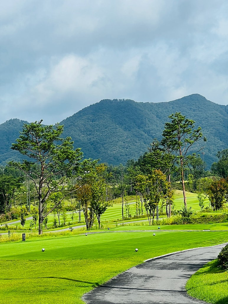 Bella45 Masters Country Club
