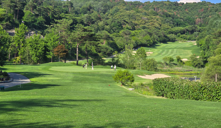 The Players Golf Club
