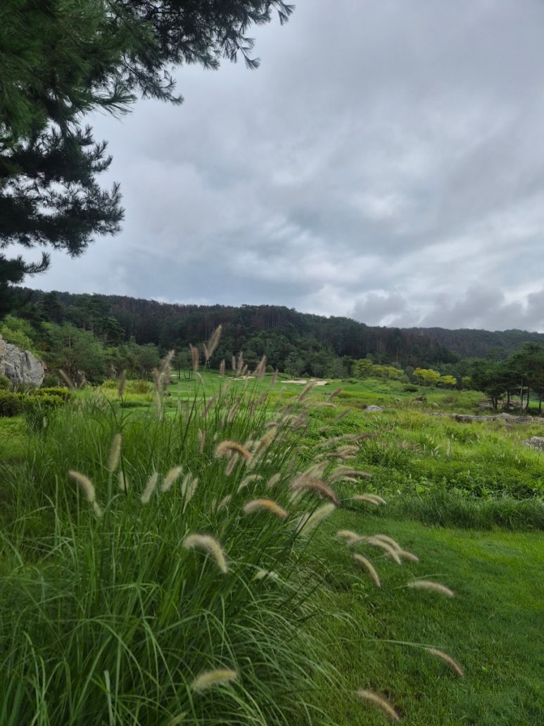 Whistle Rock Country Club