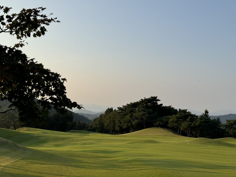 Park Valley Golf Club