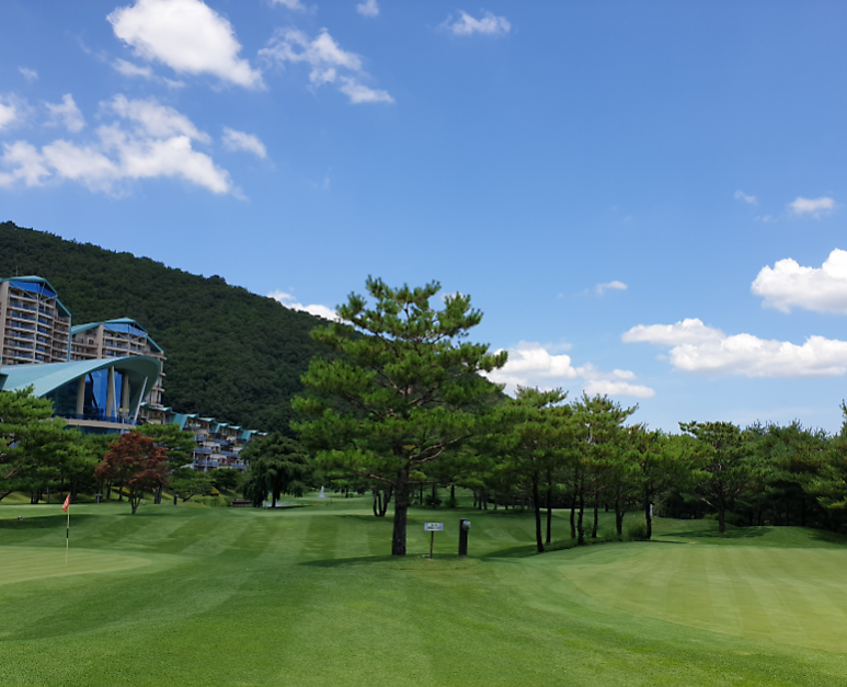 Sonopellice Country Club Delfino