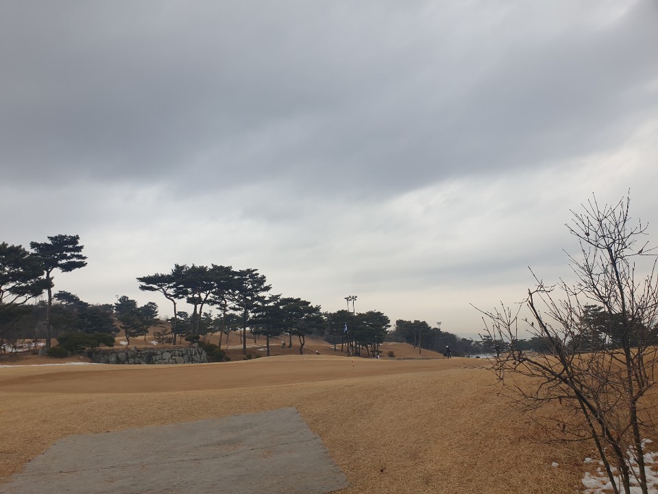 비에이비스타컨트리클럽