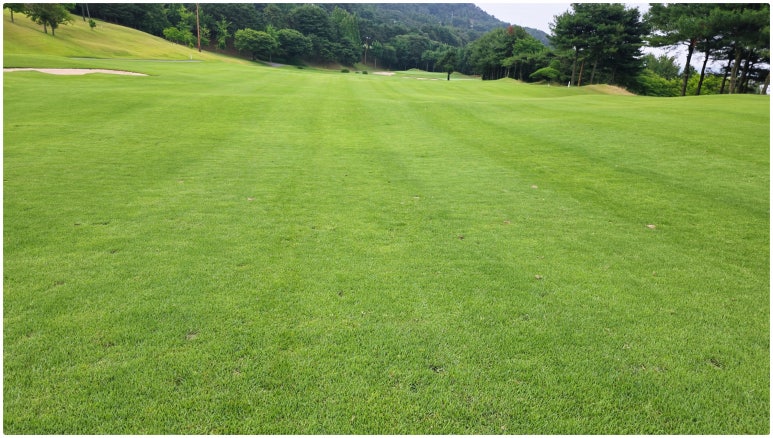 Gimpo SEASIDE Country Club