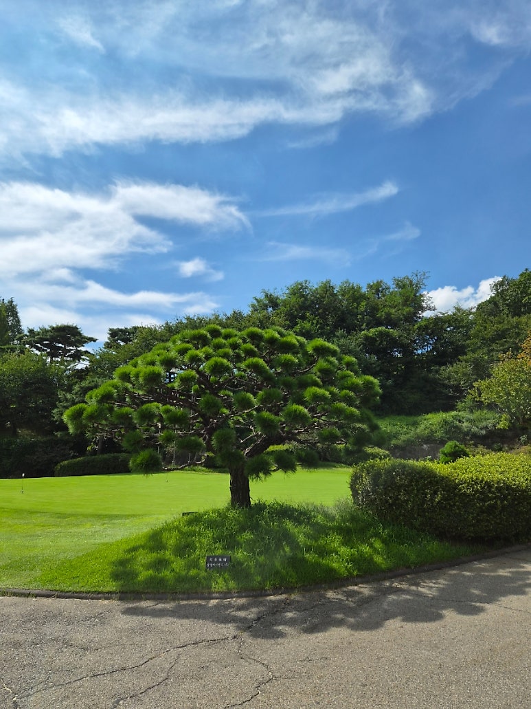 Golf Club Q