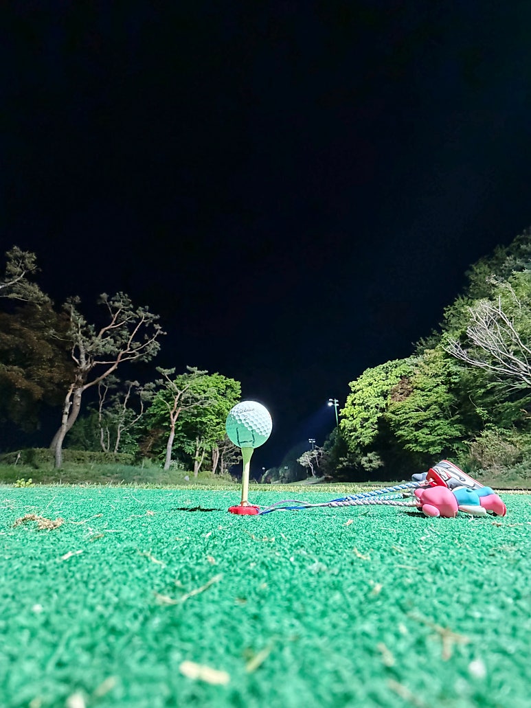 Shinan Country Club