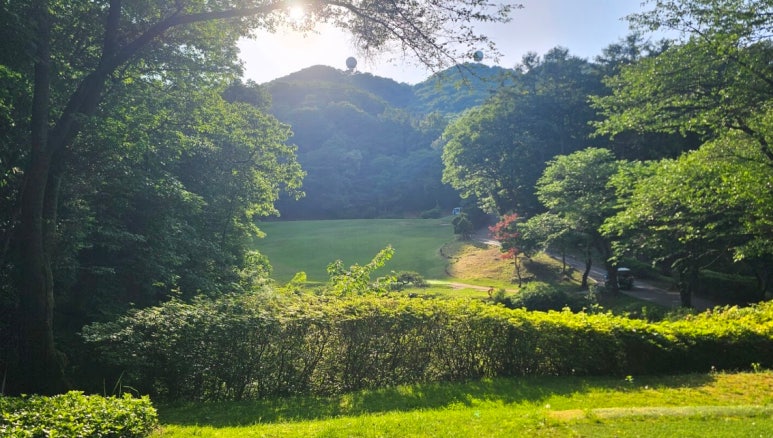 Yangji Pine Golf Club