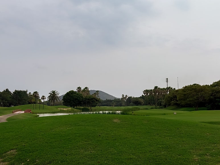 Shineville Park CC